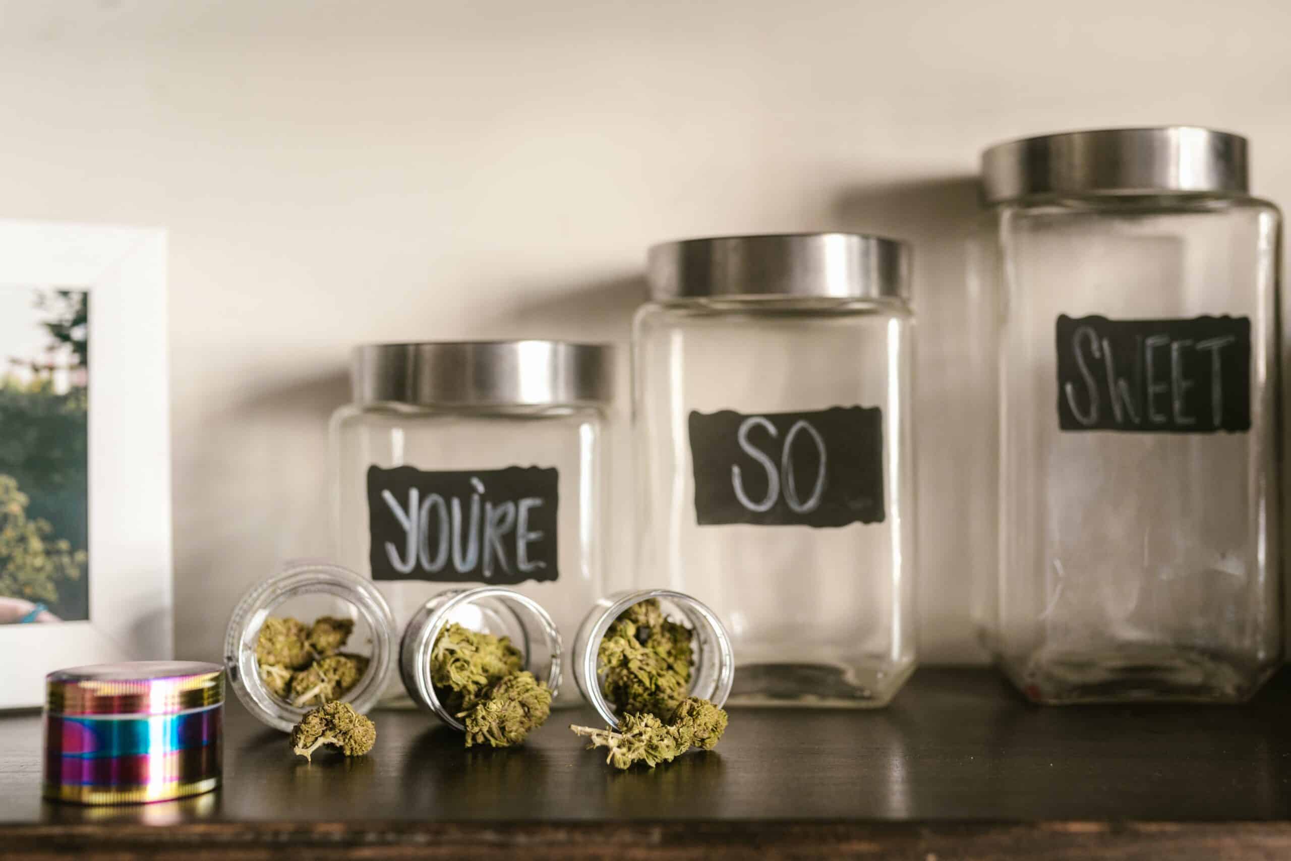 You are currently viewing How to Start a Cannabis Business: The Ultimate Guide