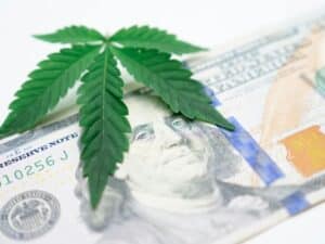 One hundred dollar bill with cannabis leaf on top