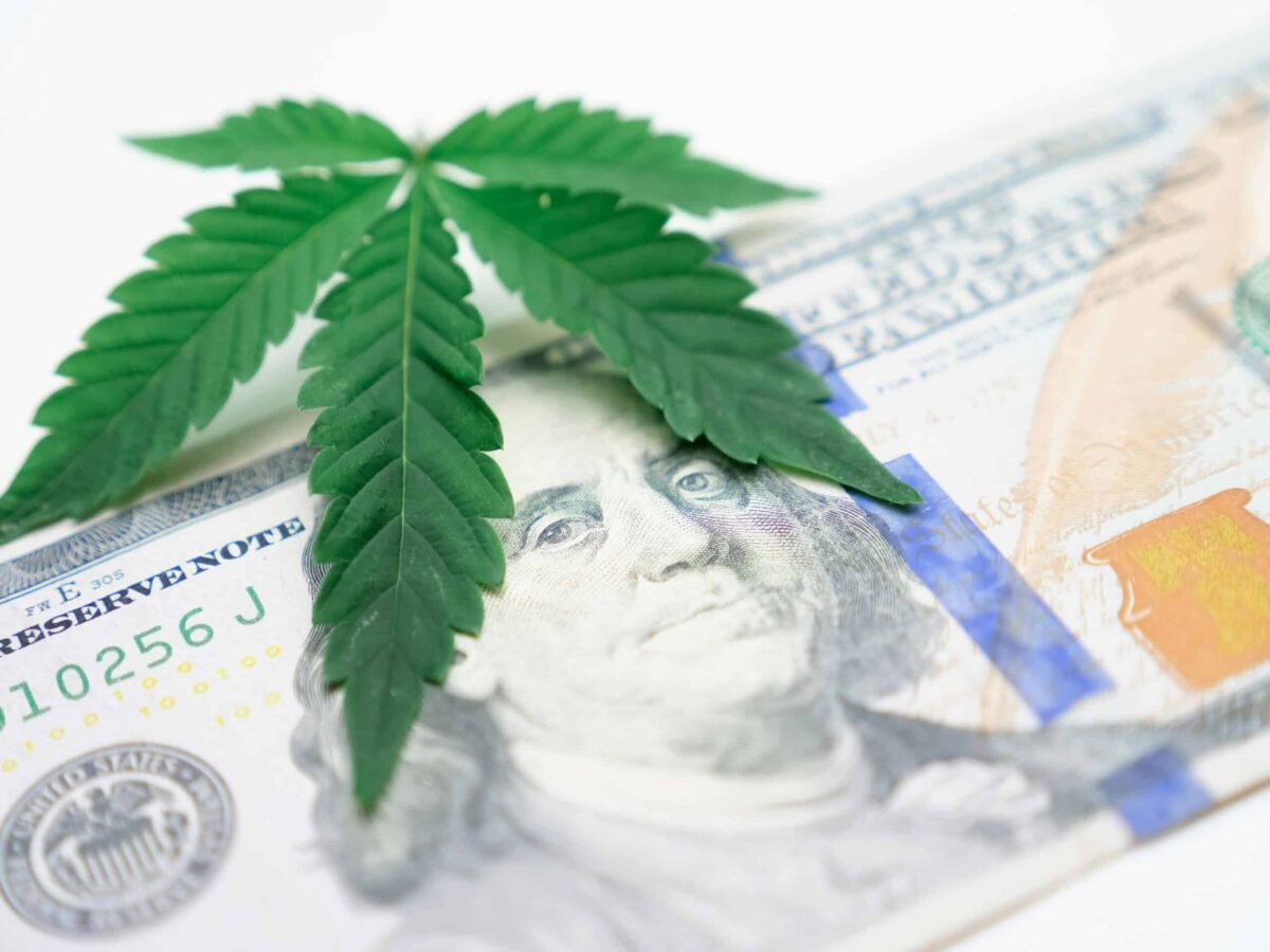 Read more about the article Boosting Sales with Your Cannabis Dispensary POS: Turn Data into Dollars